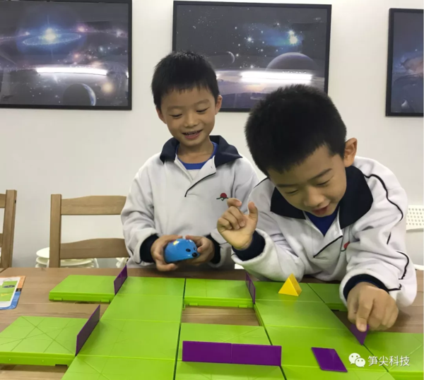 笋尖编程 笋尖编程